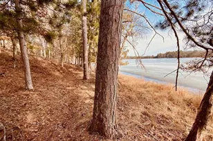 15754 S Bond Leader Lake Rd, Gordon, WI 54838 - Photo 15