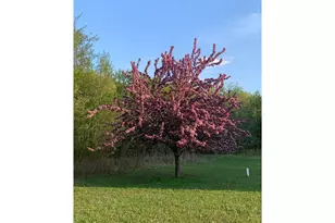 11537 118th Ave, Chippewa Falls,  54729 - Photo 65