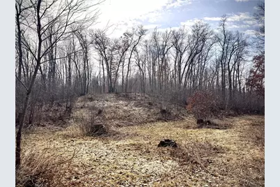 County Road M County Road M, Osceola, WI 54020 - Photo 13