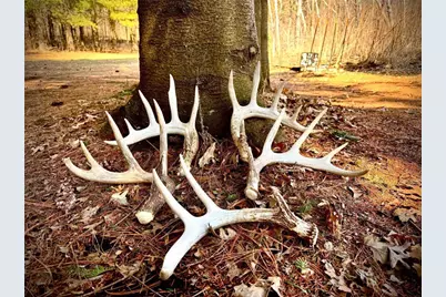 County Road M County Road M, Osceola, WI 54020 - Photo 1