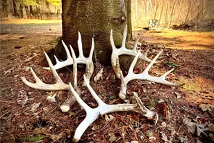 County Road M County Road M, Osceola, WI 54020 - Photo 1