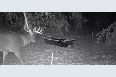 County Road M County Road M, Osceola, WI 54020 - Photo 17