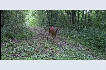 County Road M County Road M, Osceola, WI 54020 - Photo 9