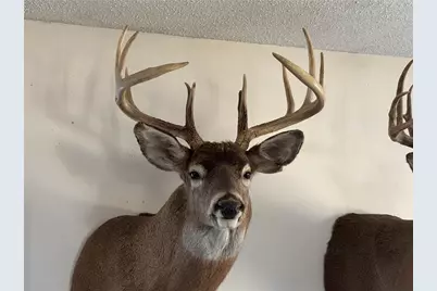 County Road M County Road M, Osceola, WI 54020 - Photo 7