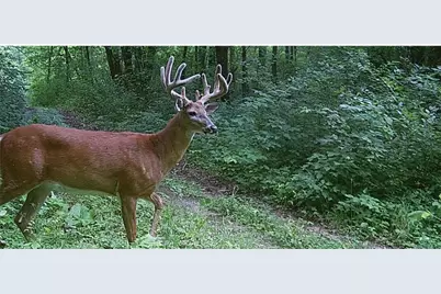 County Road M County Road M, Osceola, WI 54020 - Photo 3