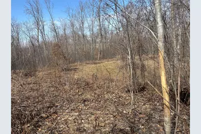 County Road M County Road M, Osceola, WI 54020 - Photo 5