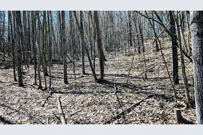 17341 County Highway M, New Auburn,  54757 - Photo 51