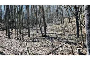 17341 Co Hwy M, New Auburn,  54757 - Photo 51