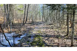 17341 Co Hwy M, New Auburn,  54757 - Photo 53