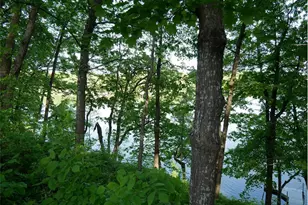 N1003 Deerhead Point Dr, Chetek, WI 54728 - Photo 21
