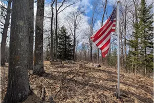 N1003 Deerhead Point Dr, Chetek, WI 54728 - Photo 27