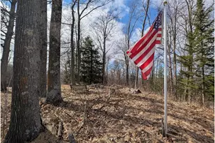 N1003 Deerhead Point Dr, Chetek, WI 54728 - Photo 7