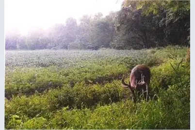 S2901 Semling Lane, Fountain City, WI 54629 - Photo 101