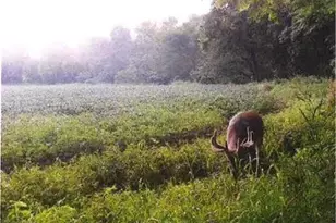 S2901 Semling Ln, Fountain City, WI 54629 - Photo 101