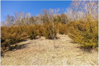 S2901 Semling Lane, Fountain City, WI 54629 - Photo 97