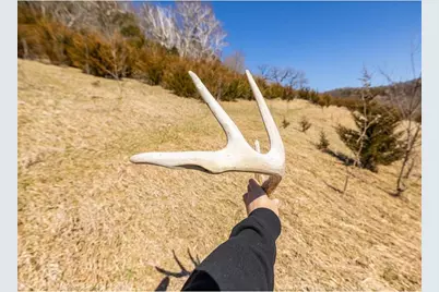 S2901 Semling Lane, Fountain City, WI 54629 - Photo 77