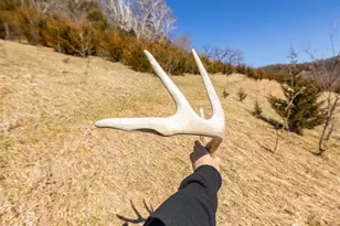 S2901 Semling Ln, Fountain City, WI 54629 - Photo 77