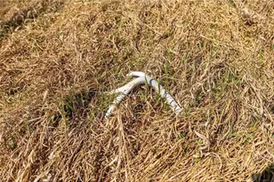 S2901 Semling Ln, Fountain City, WI 54629 - Photo 85