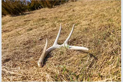 S2901 Semling Lane, Fountain City, WI 54629 - Photo 49