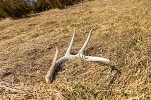 S2901 Semling Ln, Fountain City, WI 54629 - Photo 49