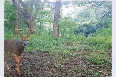S2901 Semling Lane, Fountain City, WI 54629 - Photo 95