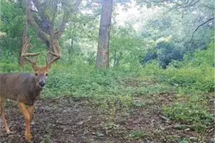 S2901 Semling Ln, Fountain City, WI 54629 - Photo 95