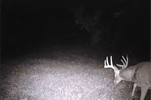 S2901 Semling Ln, Fountain City, WI 54629 - Photo 57