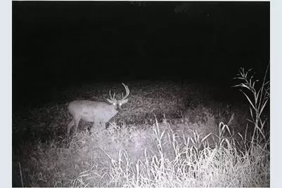 S2901 Semling Lane, Fountain City, WI 54629 - Photo 69