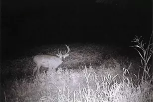 S2901 Semling Ln, Fountain City, WI 54629 - Photo 69