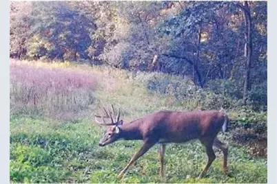 S2901 Semling Lane, Fountain City, WI 54629 - Photo 107