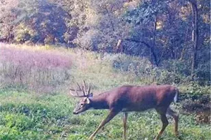 S2901 Semling Ln, Fountain City, WI 54629 - Photo 107