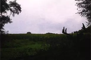 S2901 Semling Ln, Fountain City, WI 54629 - Photo 113