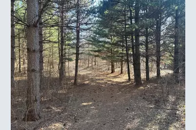 2339 75th Avenue #M, Osceola, WI 54020 - Photo 5