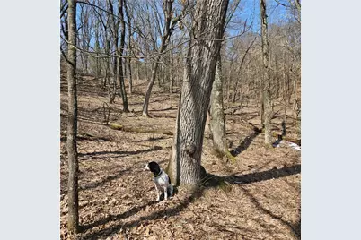 W13942 County Road B, Fairchild, WI 54741 - Photo 43