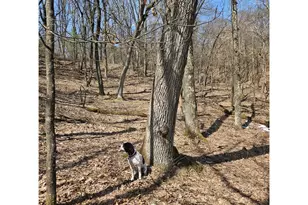 W13942 Co Rd B, Fairchild, WI 54741 - Photo 43