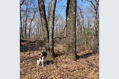 W13942 County Road B, Fairchild, WI 54741 - Photo 45