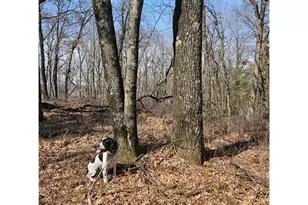 W13942 Co Rd B, Fairchild, WI 54741 - Photo 45