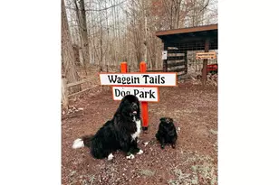 28931 Tall Moon Cir, Jackson Township, WI 54830 - Photo 49