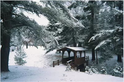 28931 Tall Moon Circle, Jackson Township, WI 54830 - Photo 47