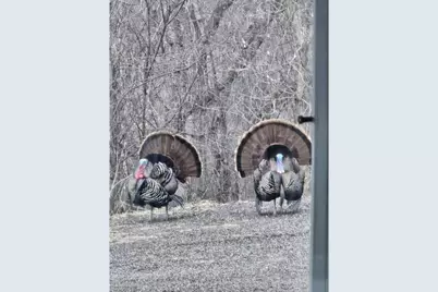 N10301 171st Street, Tiffany Township, WI 54725 - Photo 35