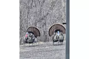 N10301 171st St, Tiffany Township, WI 54725 - Photo 35