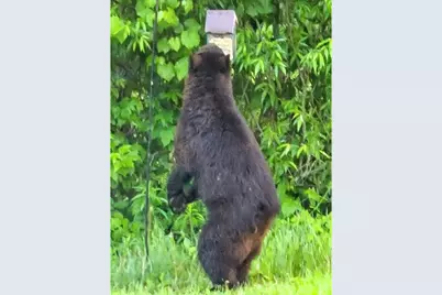 N10301 171st Street, Tiffany Township, WI 54725 - Photo 37