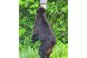 N10301 171st St, Tiffany Township, WI 54725 - Photo 37