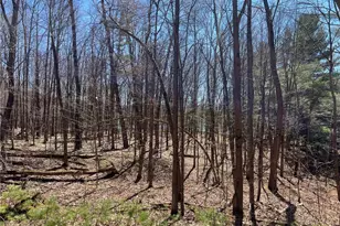 2639 2 1/2 St, Maple Plain Township, WI 54829 - Photo 13