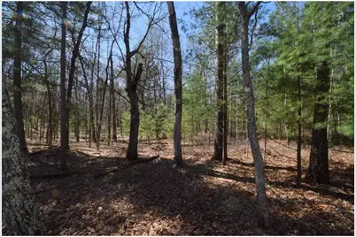 3841 Wintergreen Lane, Danbury, WI 54830 - Photo 83