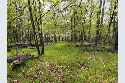 15051 S Thorn Lake Loop, Gordon, WI 54838 - Photo 7
