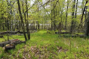 15051 S Thorn Lake Loop, Gordon, WI 54838 - Photo 7