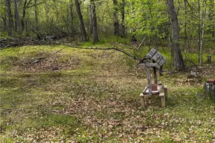 15051 S Thorn Lake Loop, Wascott, WI 54838 - Photo 5
