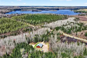 8225 Blaisdell Lake Rd, Winter, WI 54896 - Photo 45