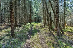 8225 Blaisdell Lake Rd, Winter, WI 54896 - Photo 43